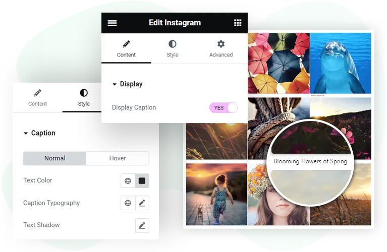 Add Instagram feed to WordPress Elementor