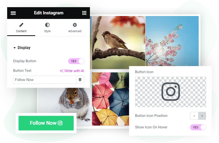 Elementor Instagram feed