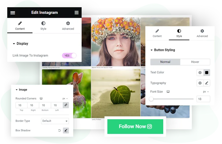 Elementor Instagram widget