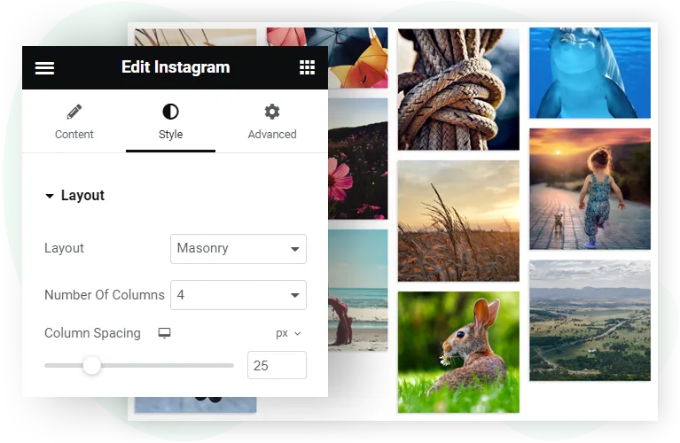 Elementor Instagram widget