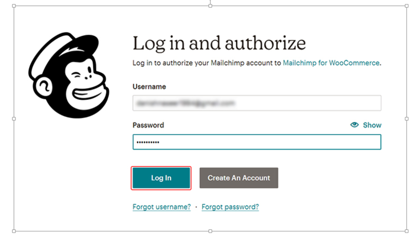 Login to your Mailchimp account