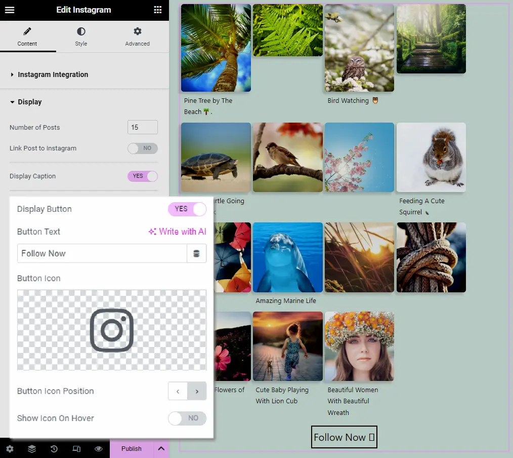 Display WPMozo Instagram feed Follow Now