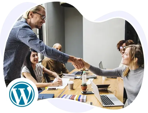 Hire a WordPress Expert