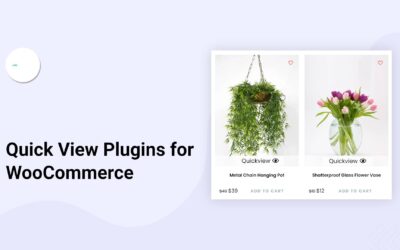 8 Useful Quick View Plugins for WooCommerce