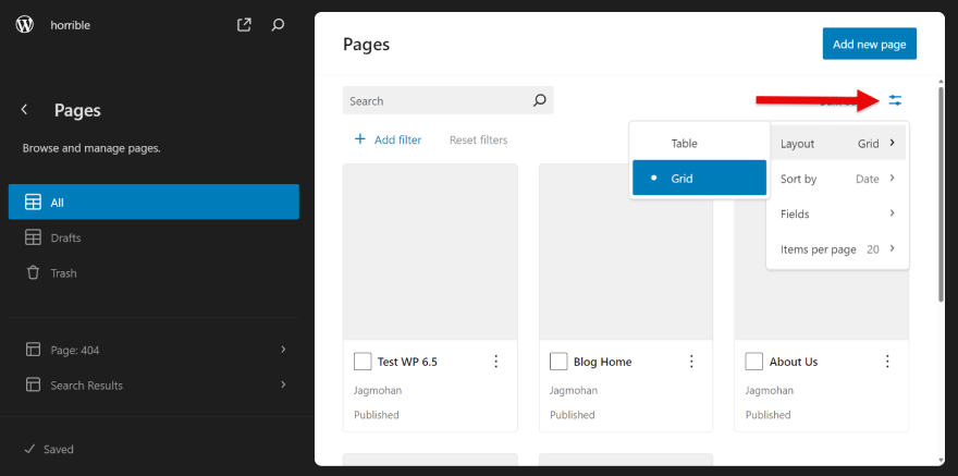 Site Editor View options in WordPress 6
