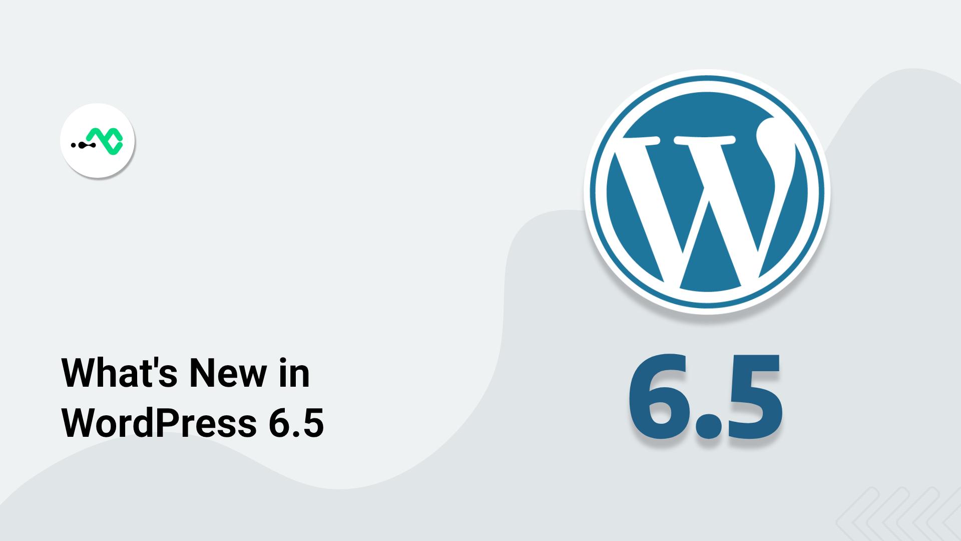 WordPress 6.5 update