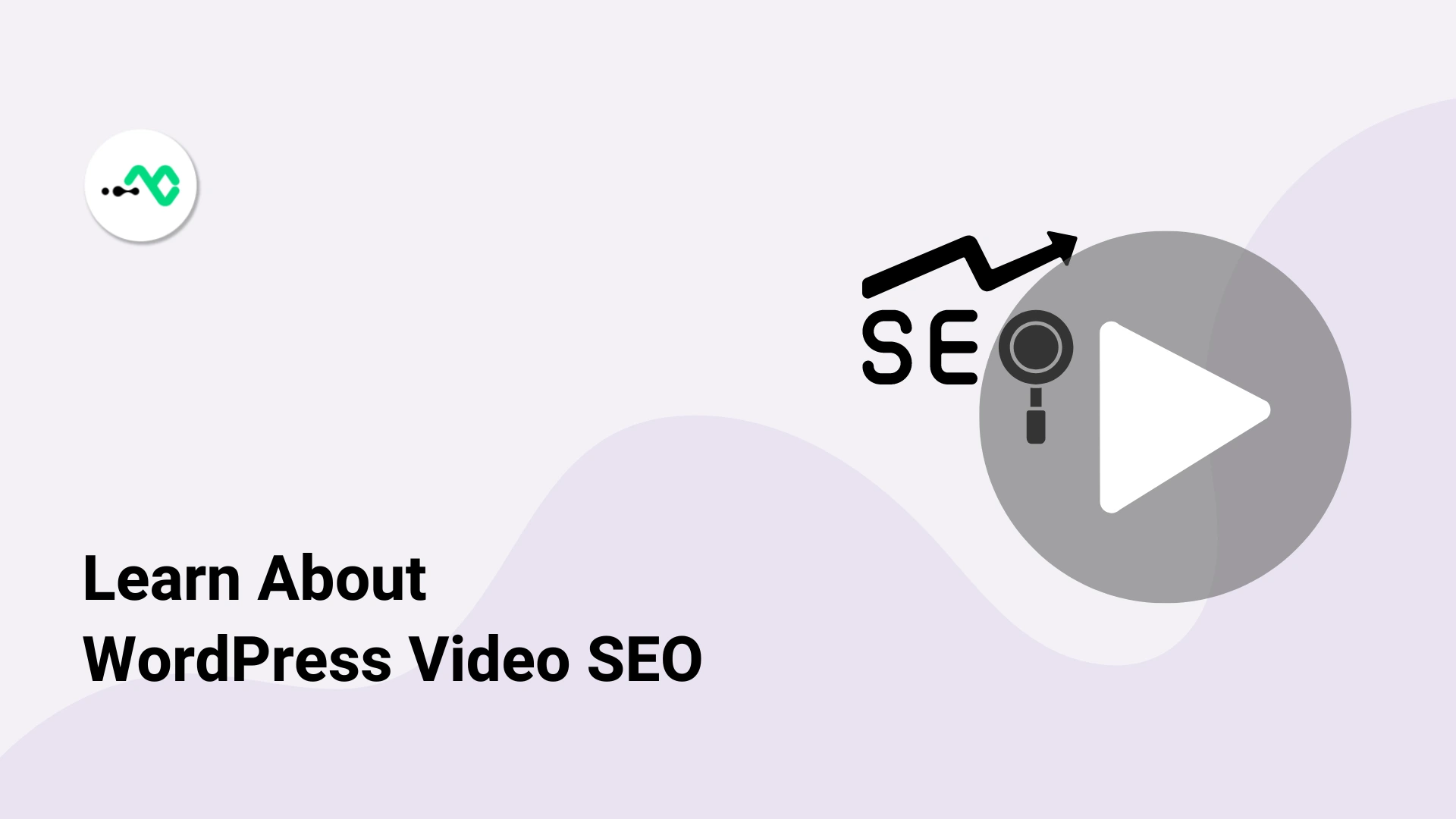 What is WordPress video SEO