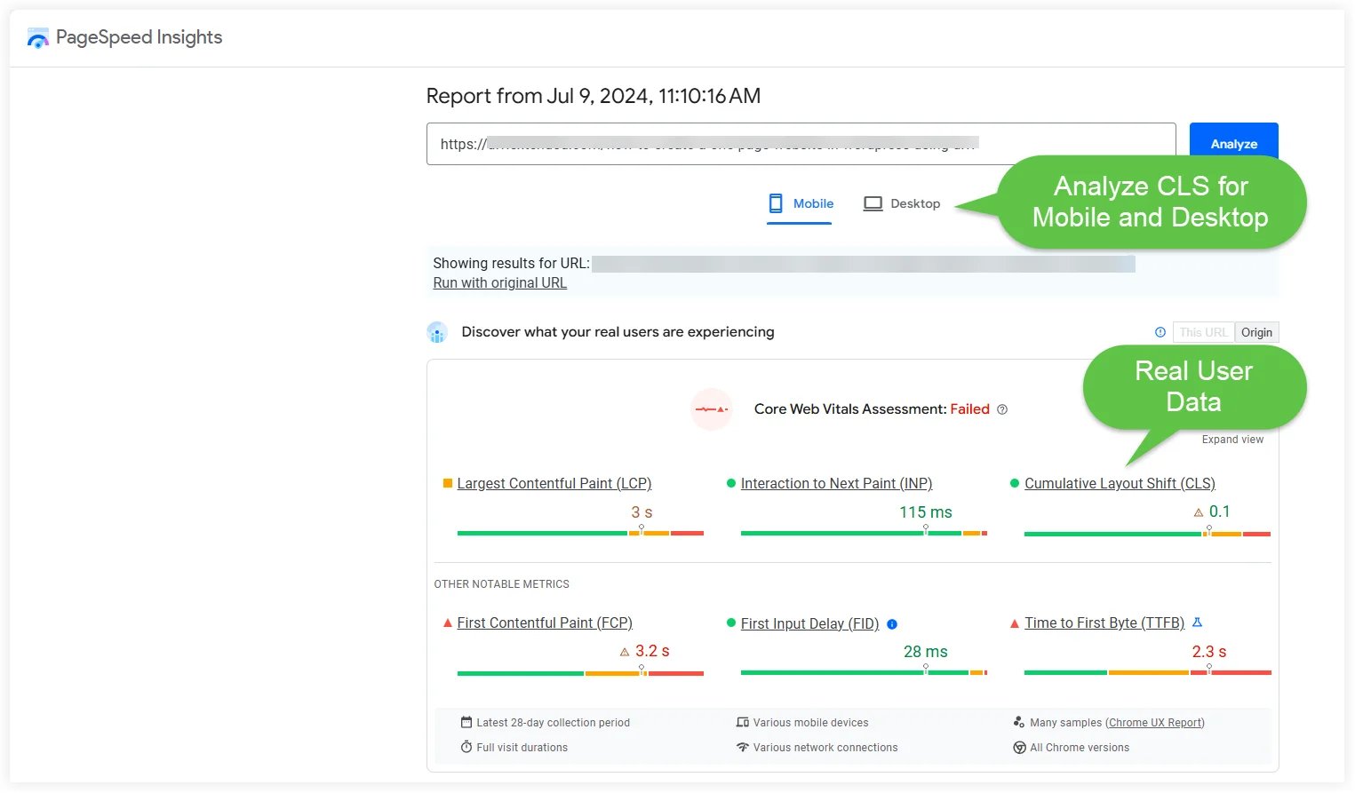 Analyze CLS using PageSpedd Insights