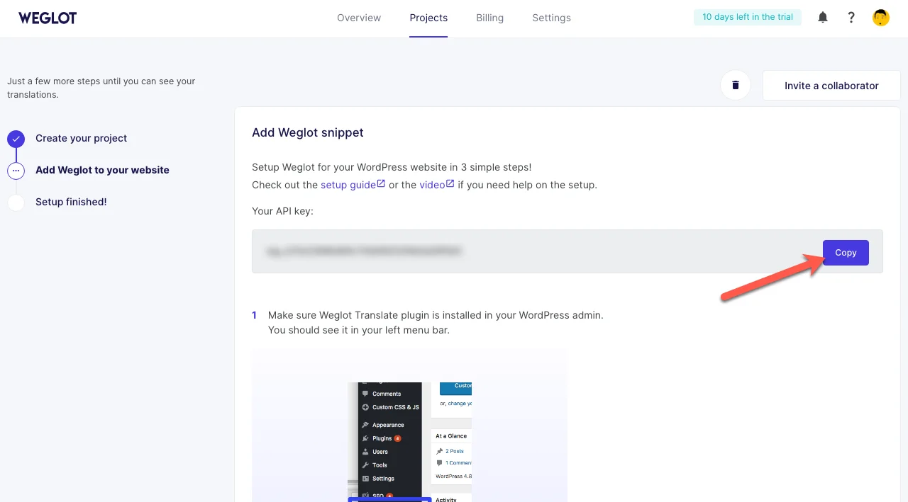 Copying weglot api key