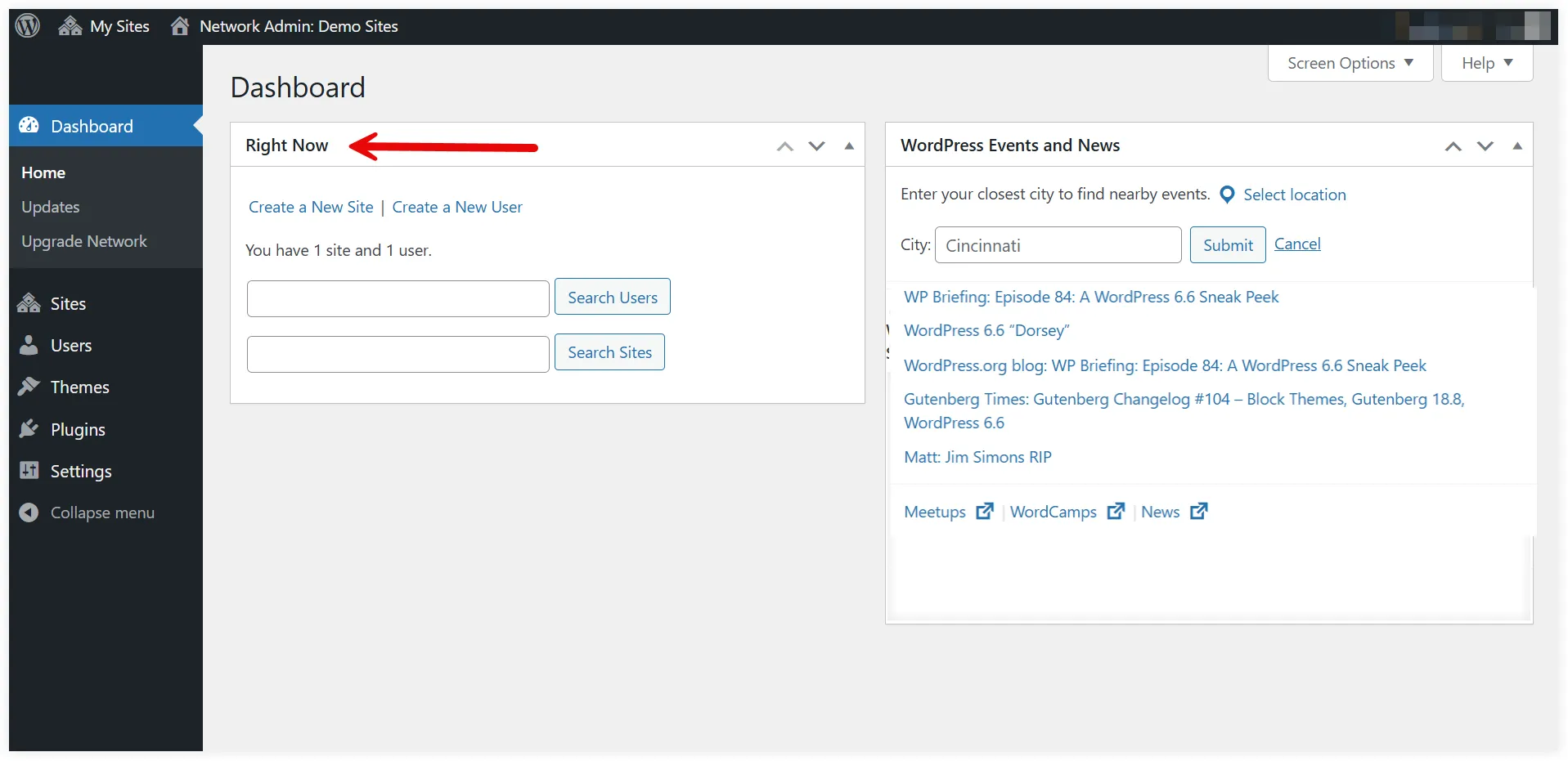 WordPress multisite dashboard settings