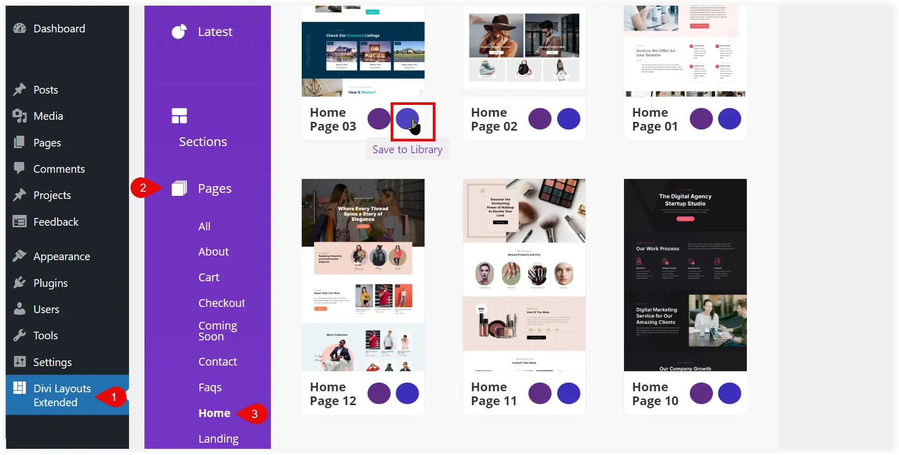 Divi Layouts Extended homepages