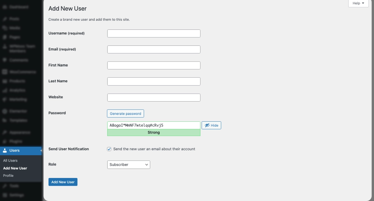 Add New User option in the WordPress Users settings.