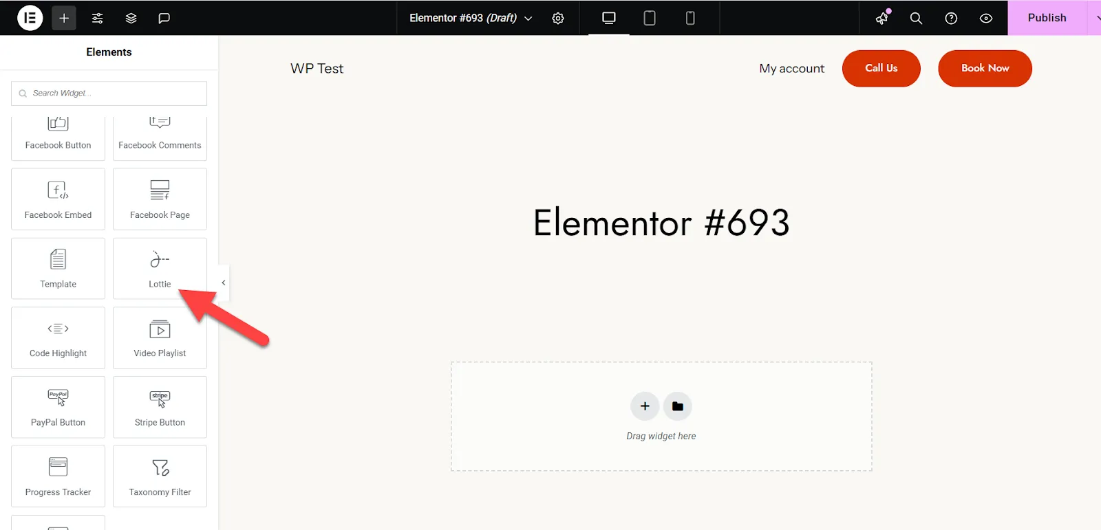 Elementor Lottie widget