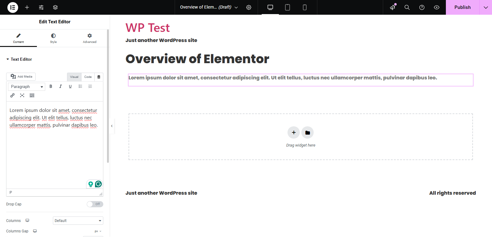 Text widget Elementor