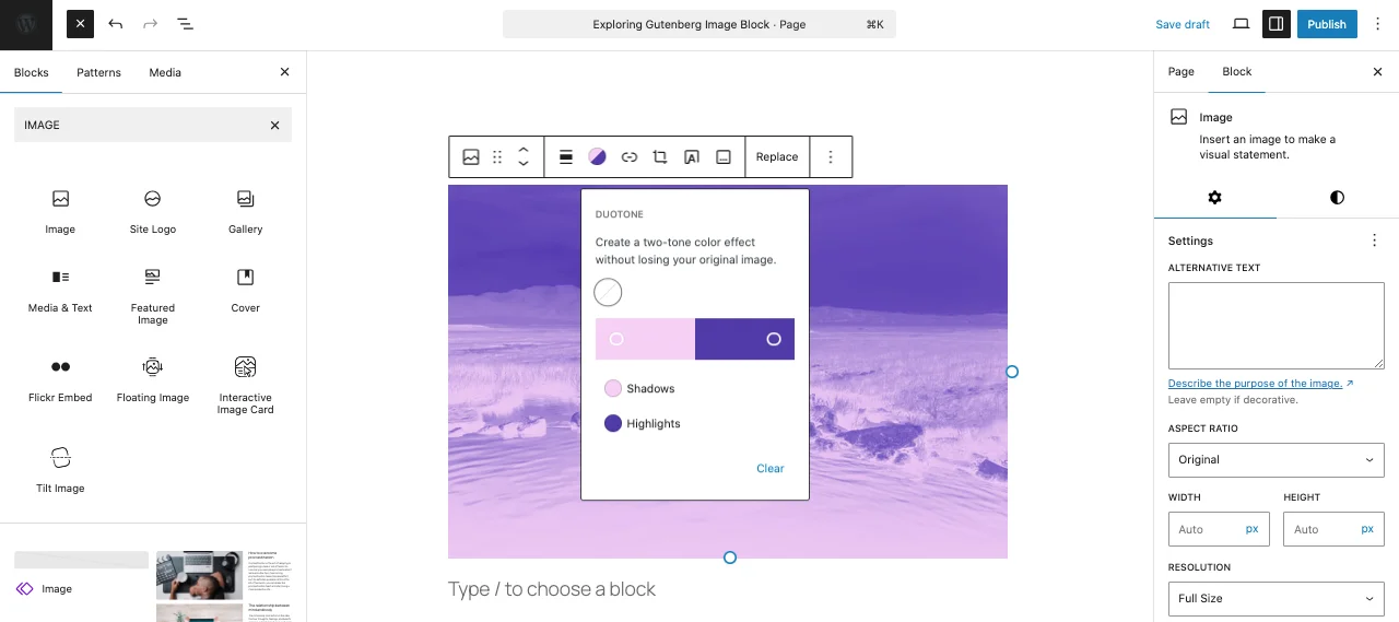 Showcase of DUOTONE feature of Gutenberg editor for images.