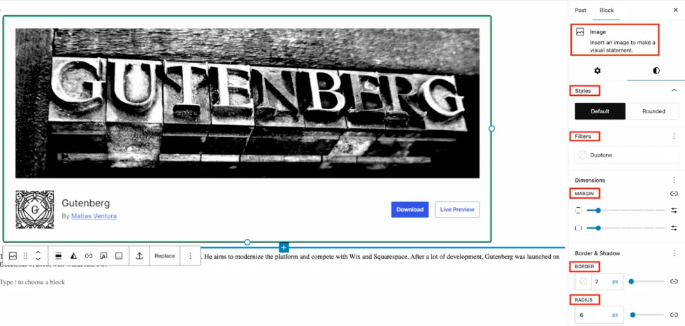Gutenberg image block and its advanced settings.