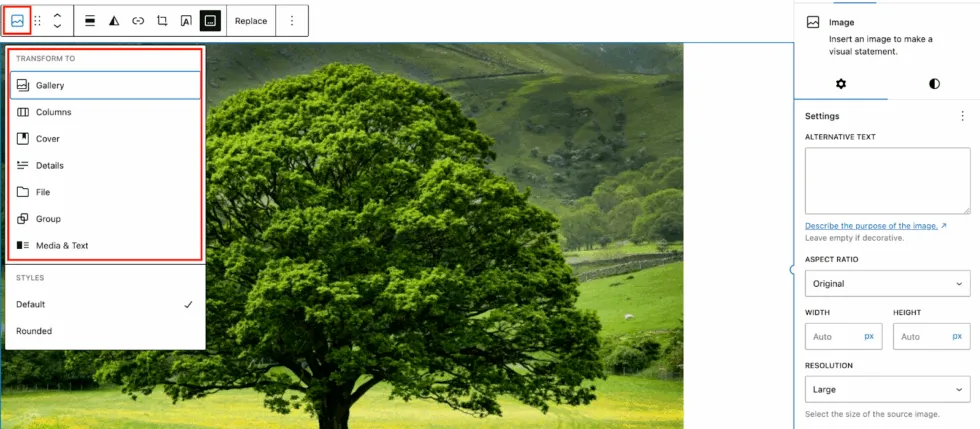 Gutenberg editor Transform To option.