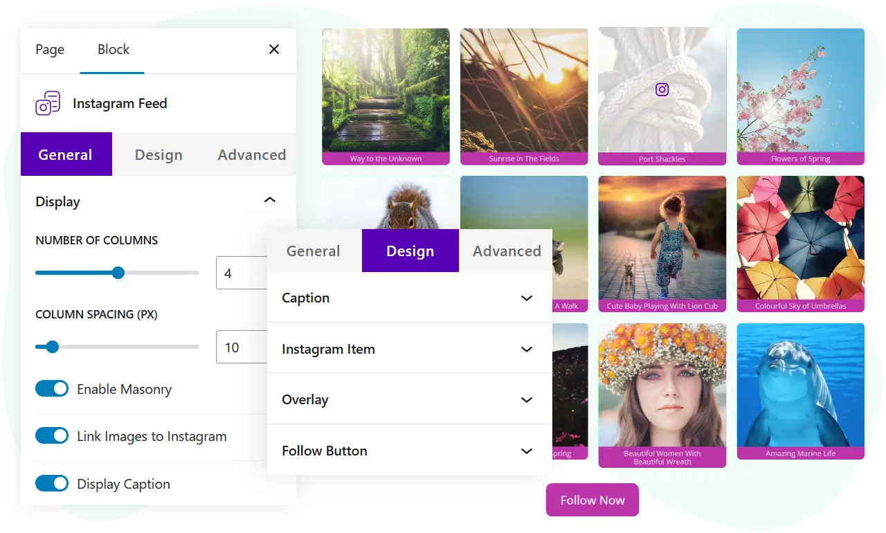 Demonstration of Instagram feed block for WordPress block editor