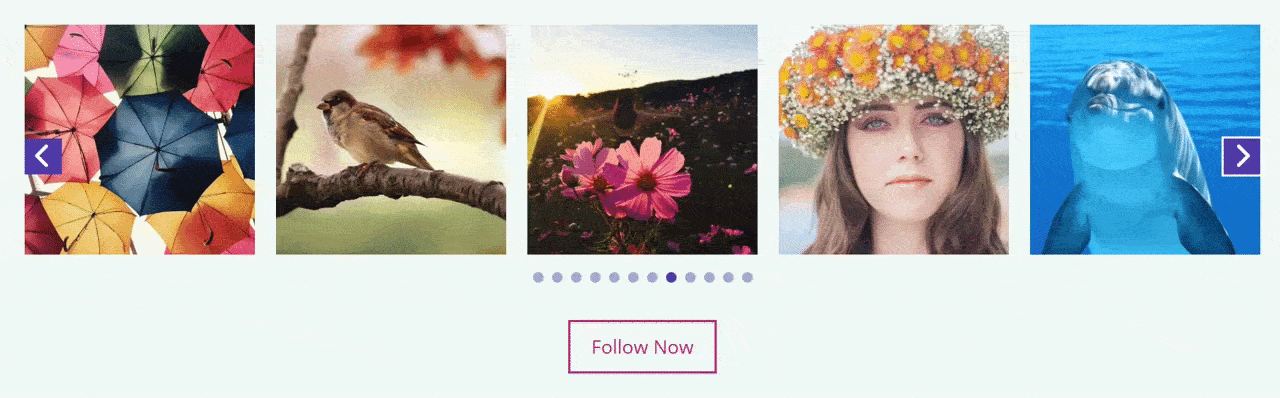 Demonstration of Instagram feed carousel block for WordPress block editor